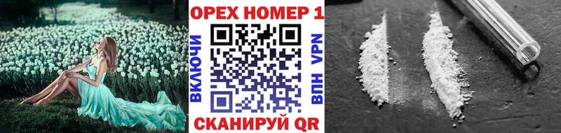 Cocaine Эквадор  Губкин 