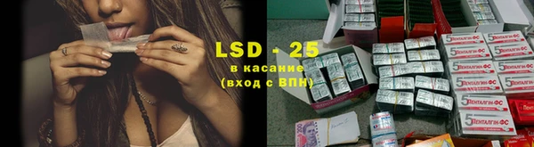 spice Алзамай