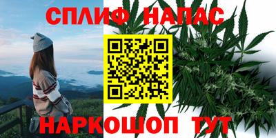 герыч Краснодар