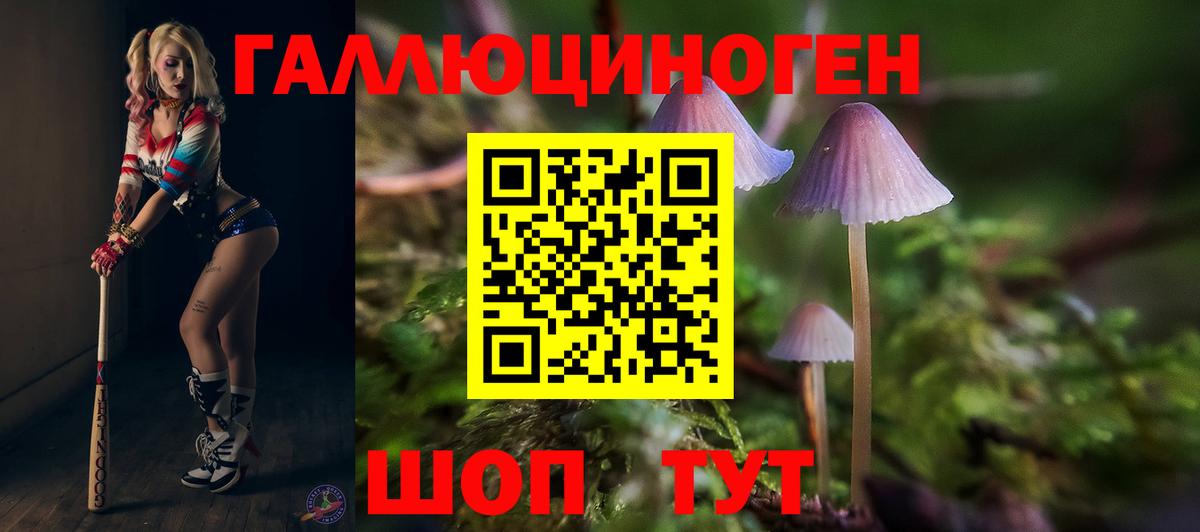Галлюциногенные грибы Magic Shrooms  Вход с VPN  магазин продажи наркотиков  Губкин 