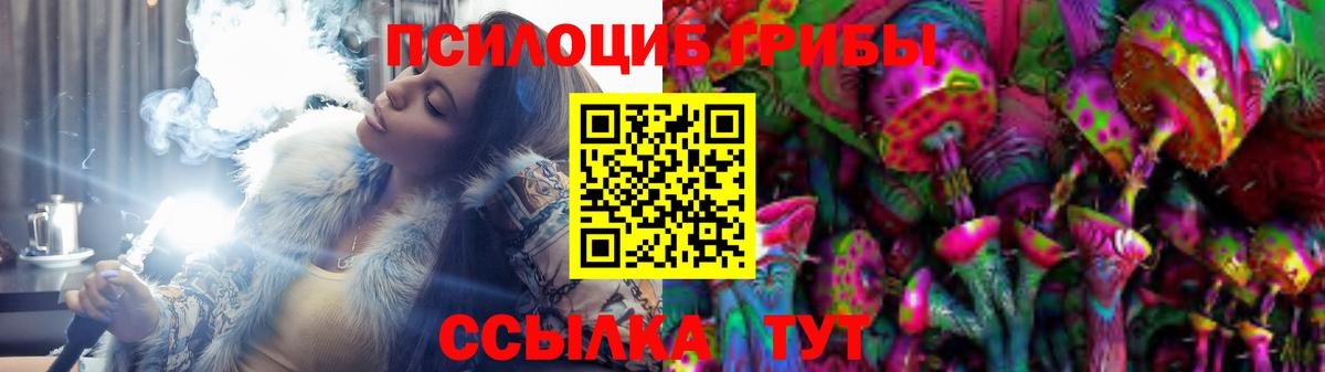 Псилоцибиновые грибы прущие грибы Губкин
