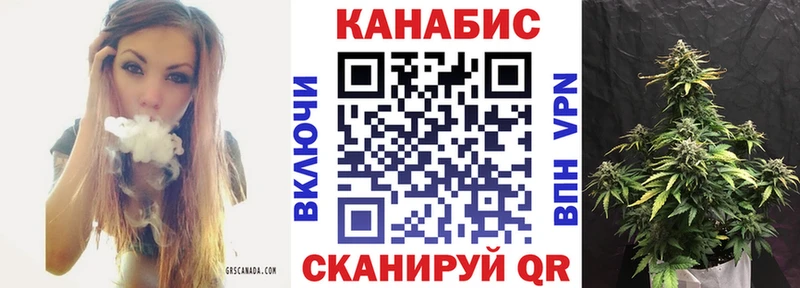 Бошки Шишки семена Губкин