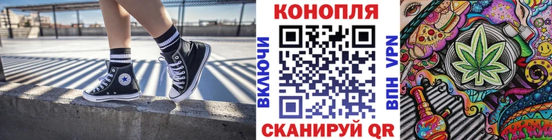 Канабис OG Kush Губкин